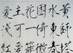 2009年中央美術(shù)學(xué)院美術(shù)高考優(yōu)秀試卷（書法) 04