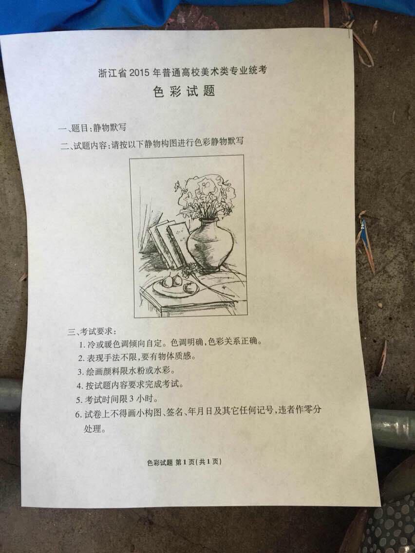 2015年浙江美術(shù)聯(lián)考/統(tǒng)考色彩考試題目