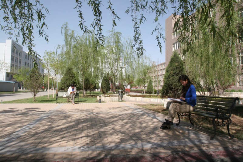 美術高考m.brfmcr.cn整理