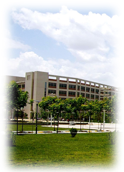 由ms211.com整理發(fā)布