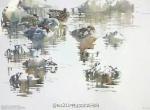 Darren Woodhead 水彩作品欣賞