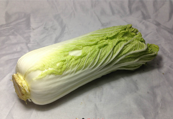 素描入門：單個物體白菜的素描畫法教程(1)