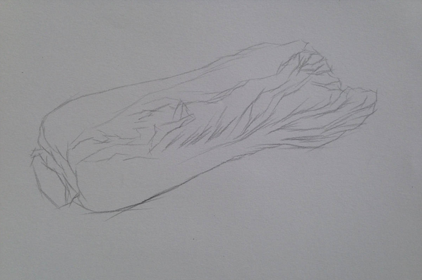 素描入門：單個物體白菜的素描畫法教程(2)