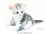 水彩小奶貓…那小眼神無(wú)法抗拒呀