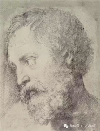 拉斐爾的素描線條真夠老辣 值得分享