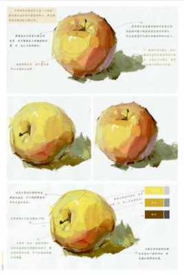 一步步的教你畫色彩單個(gè)物體，拿去學(xué)習(xí)吧~,51美術(shù)社