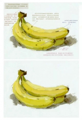 一步步的教你畫色彩單個(gè)物體，拿去學(xué)習(xí)吧~,51美術(shù)社