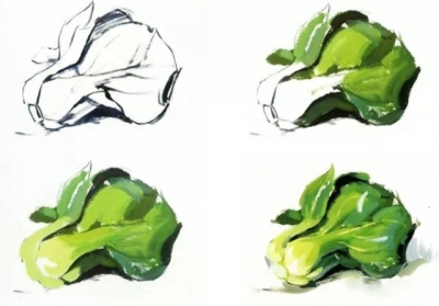 一步步的教你畫色彩單個(gè)物體，拿去學(xué)習(xí)吧~,51美術(shù)社