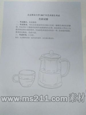 北京林業(yè)大學2017年美術(shù)色彩?？伎碱},51美術(shù)社