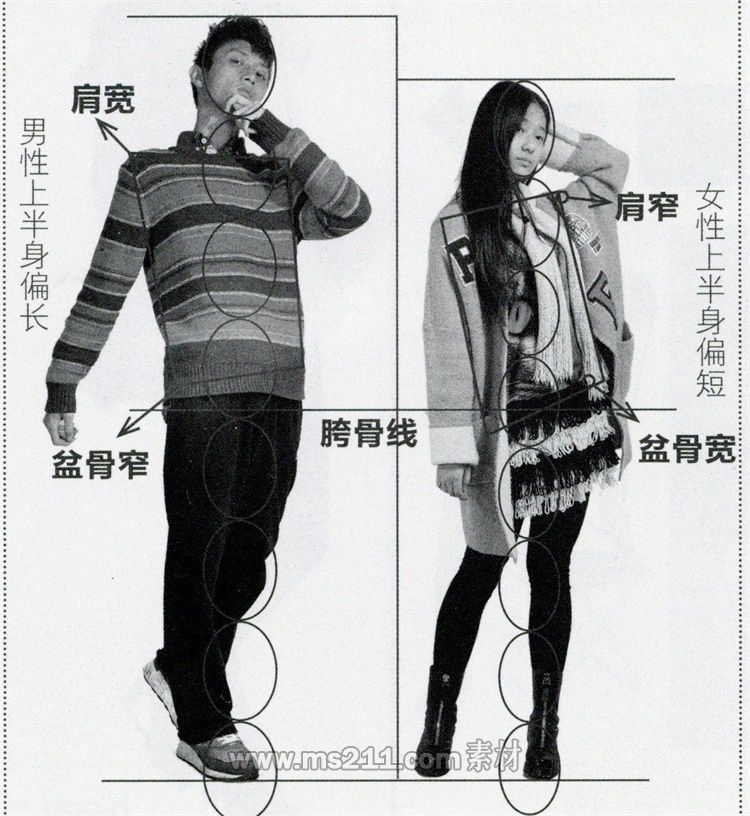 人物比例知識(shí)講解