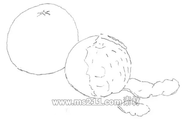 素描零基礎(chǔ)