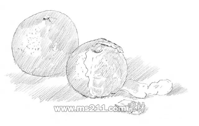 素描零基礎(chǔ)