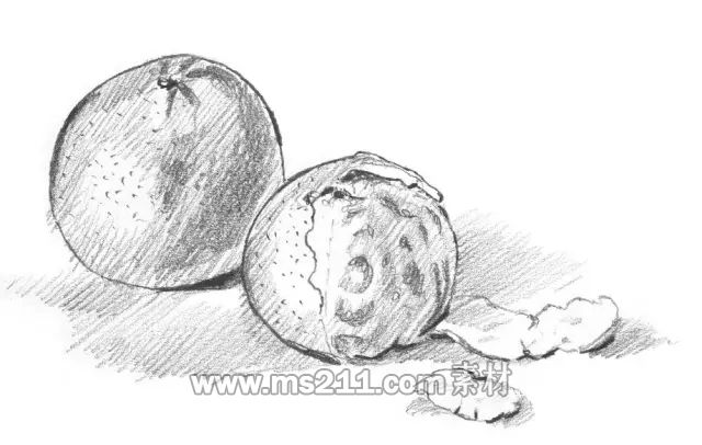 素描零基礎(chǔ)