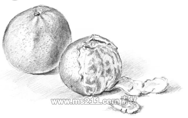 素描零基礎(chǔ)