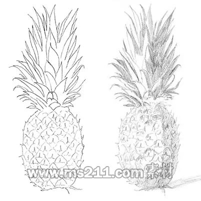 素描零基礎(chǔ)