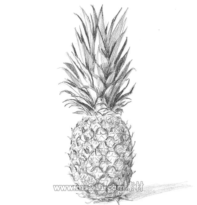 素描零基礎(chǔ)