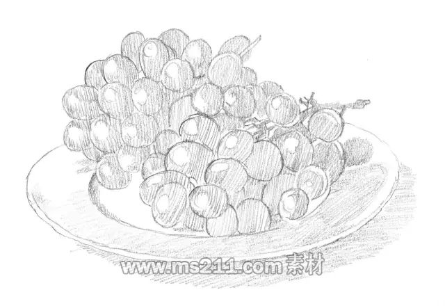 素描零基礎(chǔ)