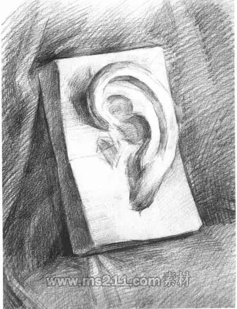 素描頭像-耳朵