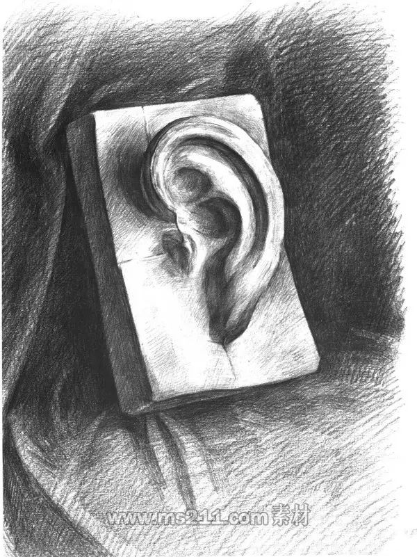 素描頭像-耳朵