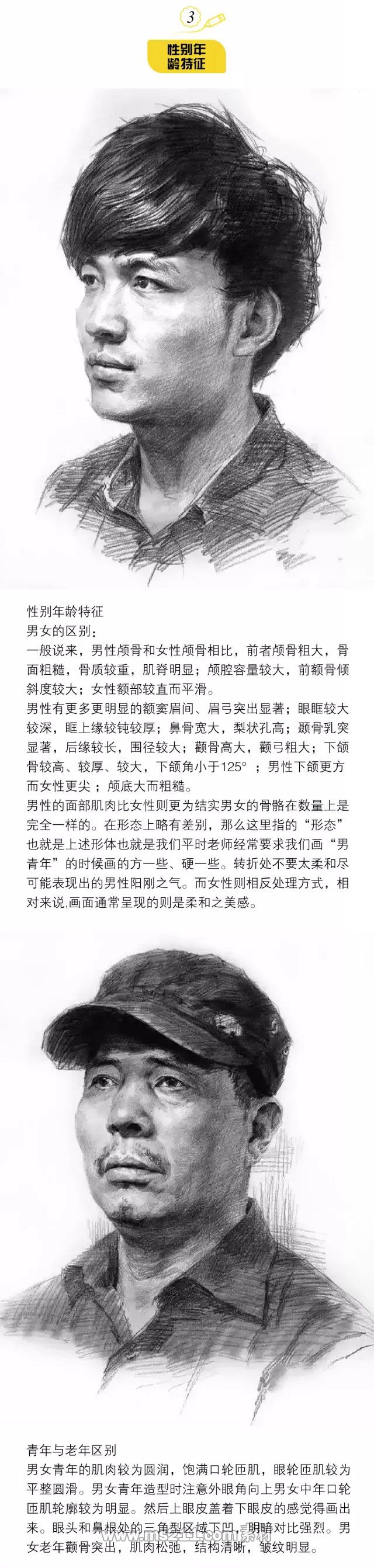素描頭像：性別年齡特征如何區(qū)別_03.jpg