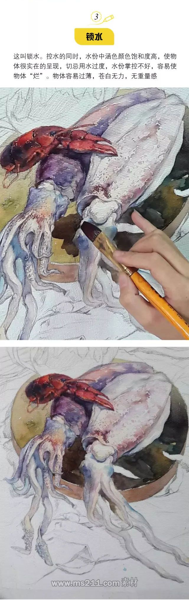 色彩靜物：水彩靜物作畫步驟全解析大魷魚_04.jpg