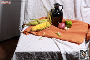 �߲˹���_�o����Ƭ_���g(sh��)�߿��W(w��ng)���M(f��i)����Ƭ20140909111