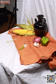 �߲˹���_�o����Ƭ_���g(sh��)�߿��W(w��ng)���M(f��i)����Ƭ20140909118