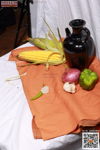 �߲˹���_�o����Ƭ_���g(sh��)�߿��W(w��ng)���M(f��i)����Ƭ20140909120