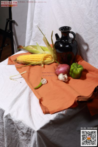 �߲˹���_�o����Ƭ_���g(sh��)�߿��W(w��ng)���M(f��i)����Ƭ20140909136