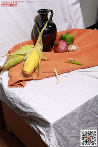 �߲˹���_�o����Ƭ_���g(sh��)�߿��W(w��ng)���M(f��i)����Ƭ20140909138