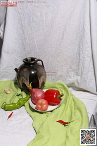 �߲˹���_�o����Ƭ_���g(sh��)�߿��W(w��ng)���M(f��i)����Ƭ2014090969