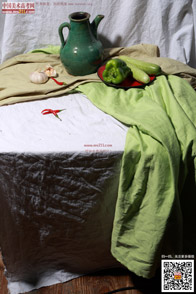 �߲˹���_�o����Ƭ_���g(sh��)�߿��W(w��ng)���M(f��i)����Ƭ2014090989